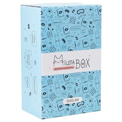Подарочный набор MilotaBox mini School Box iLikeGift MBS019