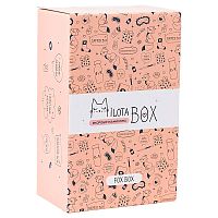 Подарочный набор MilotaBox mini Fox Box iLikeGift MBS010
