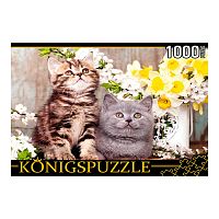 Пазл Котята в весенних цветах 1000 элементов Konigspuzzle ШТK1000-0647